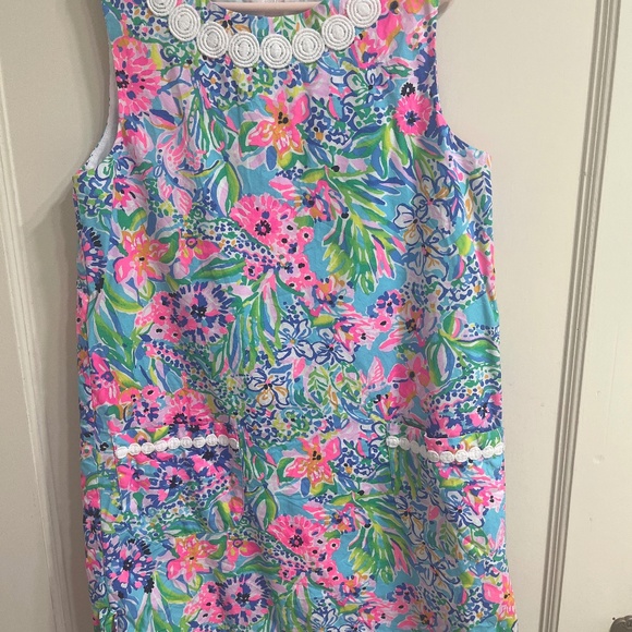 Lilly Pulitzer Other - Lilly Pulitzer Dress